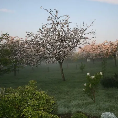 Dans La Campagne Verdoyante Saint-André-dʼHébertot