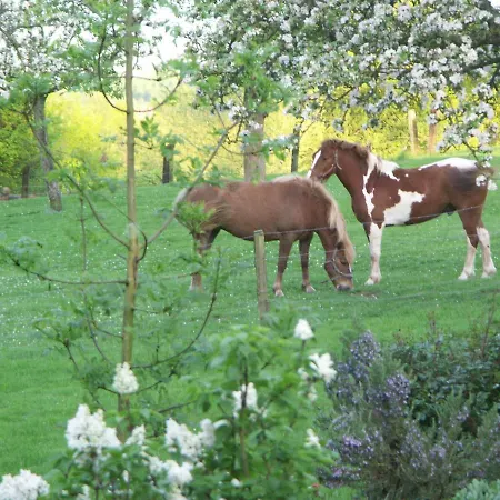 Dans La Campagne Verdoyante Pensionat *