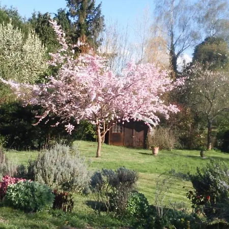 Dans La Campagne Verdoyante Saint-André-dʼHébertot