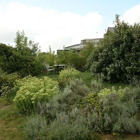 Dans La Campagne Verdoyante Saint-André-dʼHébertot